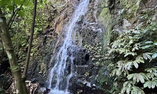 Waiorongomai Valley Adventures, Waikato