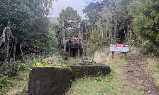 Waitawheta Tramway - Bogeys and Bluffs, Waikato