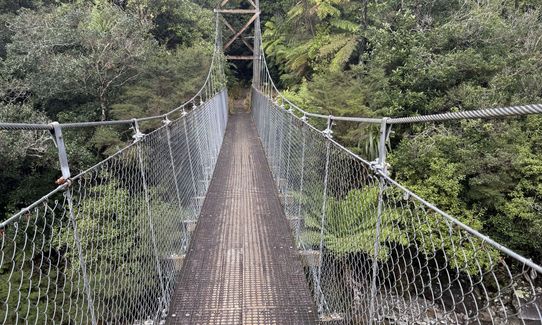 Waitawheta Tramway - Bogeys and Bluffs, Waikato