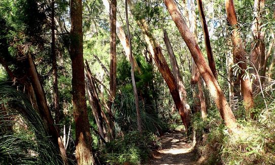 Warrie Circuit, Queensland