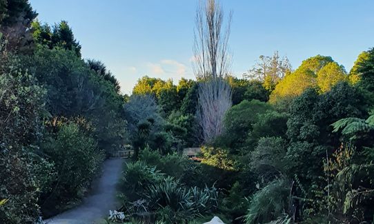 Welcome Bay Blast, Bay of Plenty