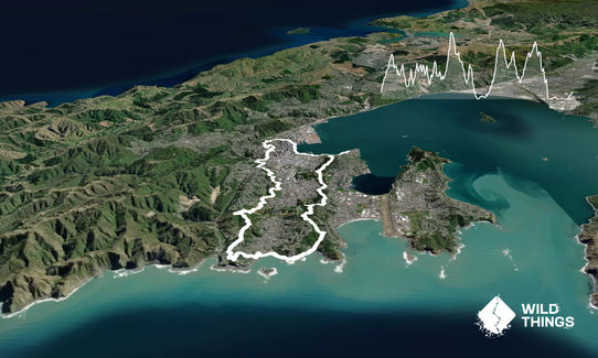 Wellington City to Sea & Southern Walkway Loop, Wellington