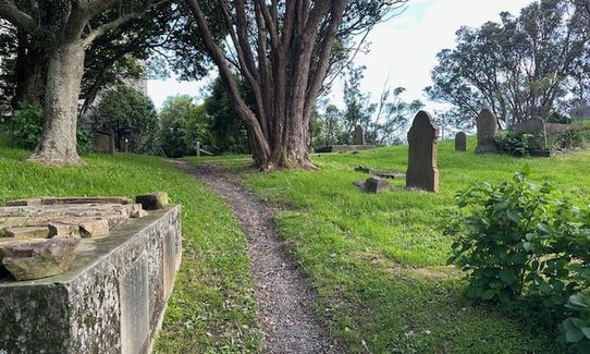 Wellington City to Sea & Southern Walkway Loop, Wellington