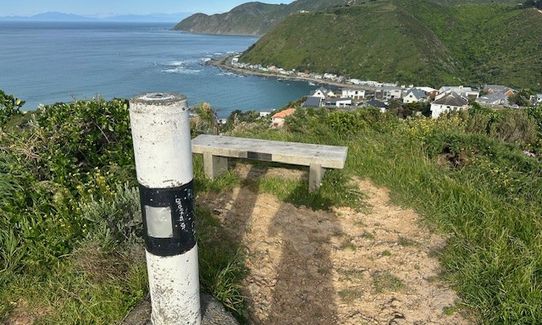 Wellington City to Sea & Southern Walkway Loop, Wellington
