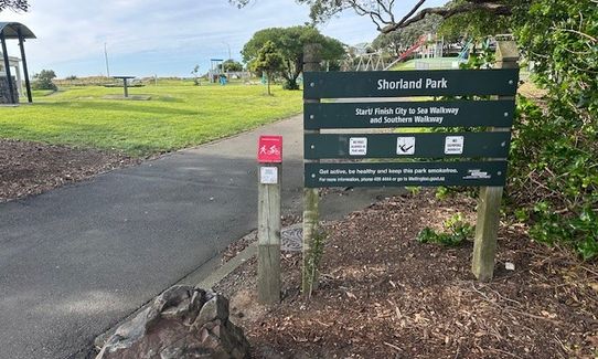 Wellington City to Sea & Southern Walkway Loop, Wellington