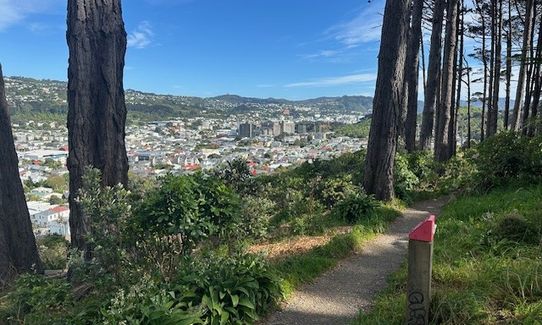 Wellington City to Sea & Southern Walkway Loop, Wellington