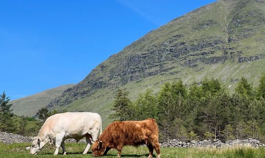 West Highland Way, Scotland