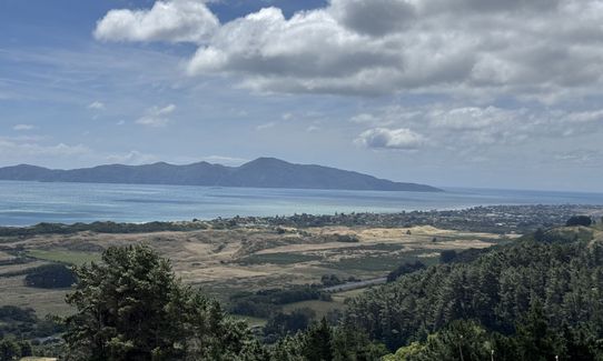 Western Hills brief trot, Wellington