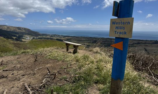 Western Hills brief trot, Wellington