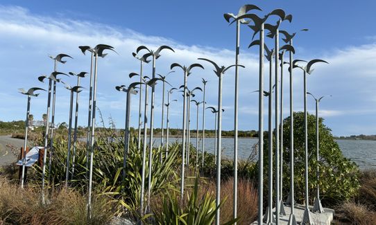 Westshore Conservation Loop, Hawkes Bay