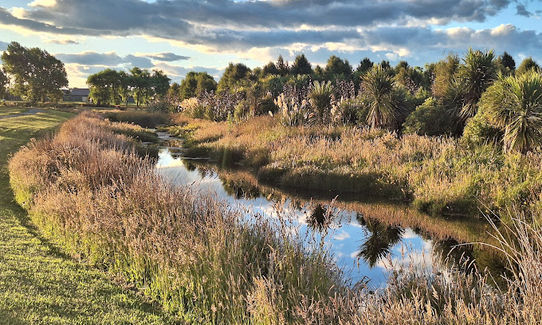 Wetland Loop de Loop, Canterbury