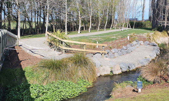 Wetland Loop de Loop, Canterbury