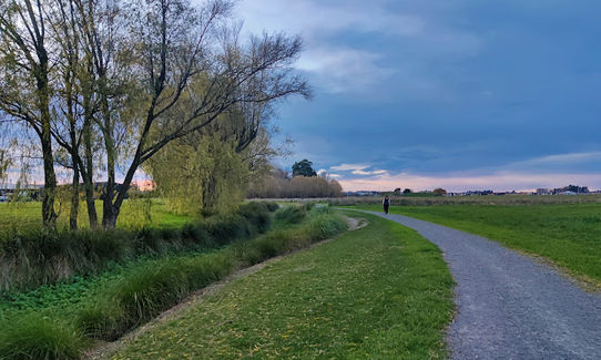 Wetland Loop de Loop, Canterbury