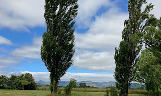 Wetland Loop de Loop, Canterbury