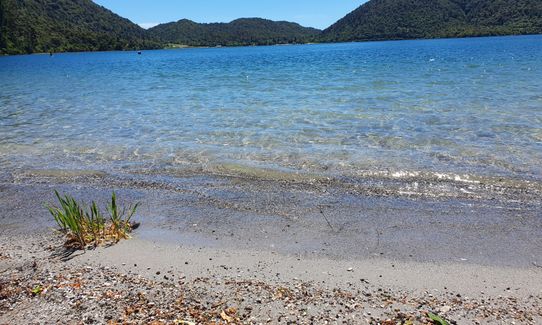 Whakarewarewa Circuit - the Black Track, Bay of Plenty