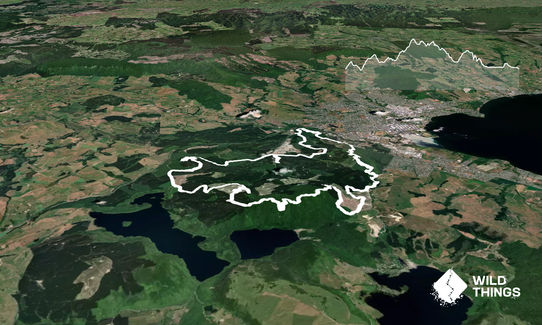 Legend of the Peaks - New Zealand Forest Marathon, Bay of Plenty