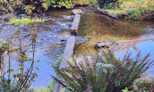 Whare Flat to Pulpit Rock , Otago