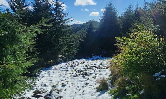 Whare Flat to Pulpit Rock , Otago