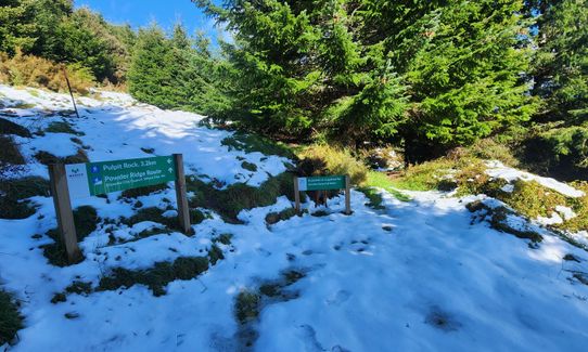 Whare Flat to Pulpit Rock , Otago