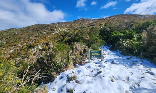 Whare Flat to Pulpit Rock , Otago