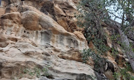 White rock trail ridge circuit, Queensland