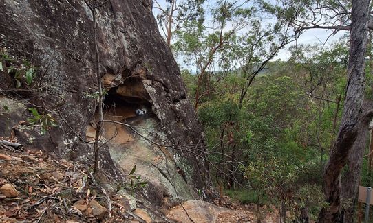 White rock trail ridge circuit, Queensland
