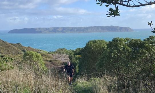 Whitireia and Titahi Bay Cliffs, Wellington