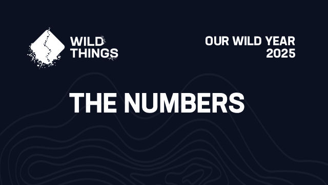 Our Wild Year - 2025