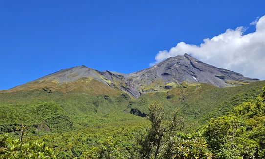 Wilkie and The Enchanted Ridge, Taranaki