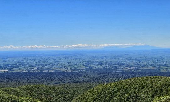 Wilkie and The Enchanted Ridge, Taranaki