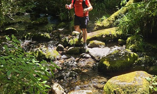 Wilkie and The Enchanted Ridge, Taranaki