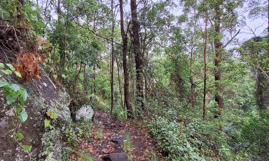Witchy woo wander, Queensland