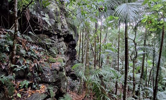 Witchy woo wander, Queensland