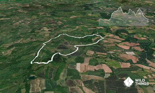 Witley 3 Peaks, England