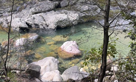 Woolshed, Bus Stop Loop, Canterbury