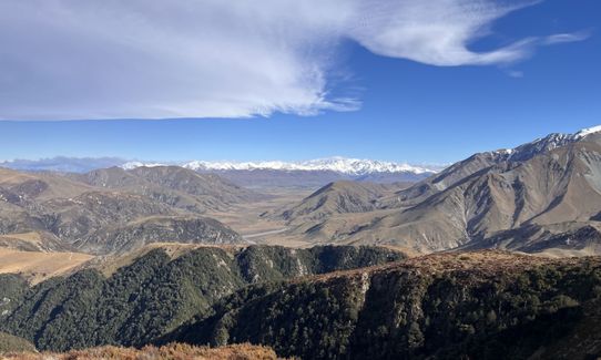 Woolshed, Bus Stop Loop, Canterbury