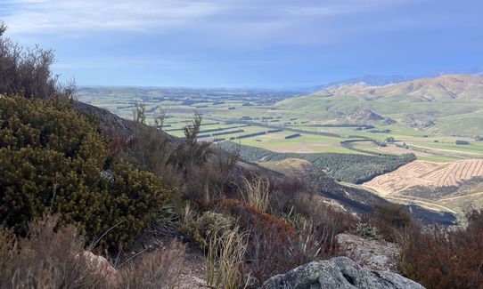 Woolshed, Bus Stop Loop, Canterbury