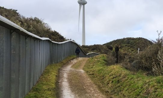 WUU2k - 42km Route, Wellington