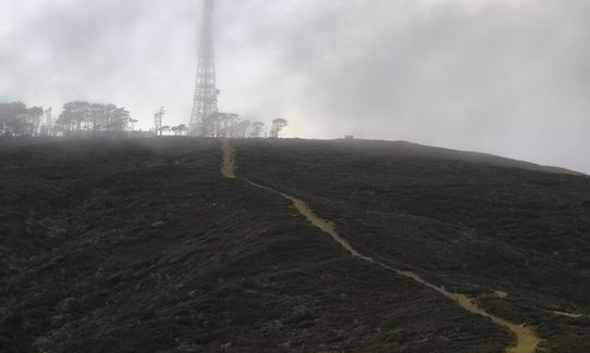 WUU2k - 42km Route, Wellington