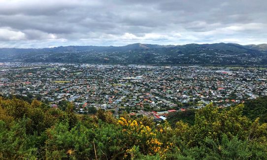 Te Whiti Riser, Wellington