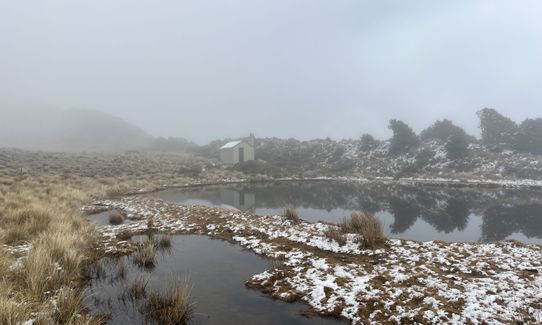 Youngman Stream - Tarn Hut Loop, Canterbury